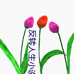 反(fǎn)转人(rén)生(shēng)小说