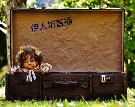 伊人坊直播