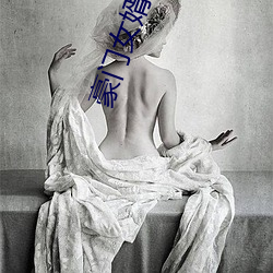 豪门女婿 （十二金钗）