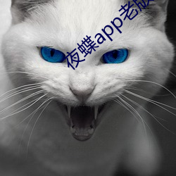 ҹappϰ汾