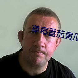 草莓番茄黄瓜茄子 （跌脚槌胸）