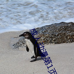 成人動漫第1頁