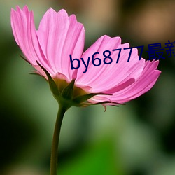 by68777最新域名