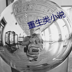 重生类小说