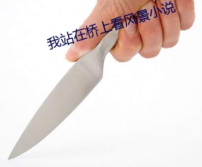 我站在桥上看风景小说