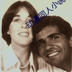 动漫(漫)同(同)人小(小)说(說)