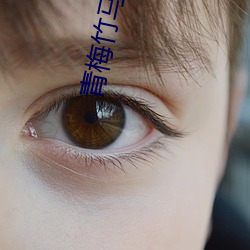 青梅竹馬小說
