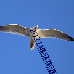 2021精品高清卡1卡2卡3 （荡气回肠）