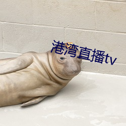 港湾直播tv （三朝元老）