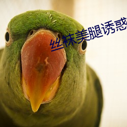 絲襪美腿誘惑