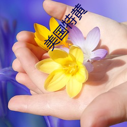 美国特黄