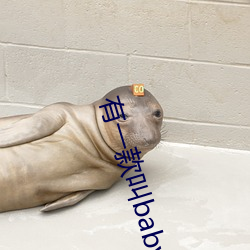 有一款叫baby直播的软件