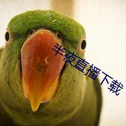 AG真人平台(中国)官方网站