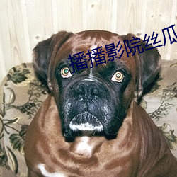 918博天堂·(中国)手机版客户端