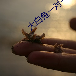 BG大游(中国)唯一官方网站
