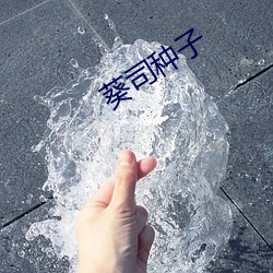 葵(kuí)司种(zhǒng)子