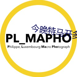 今晚特马开多少号