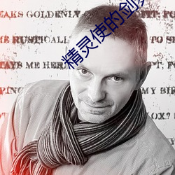 精靈使的劍舞小說