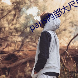 pans内部大尺度写真视频(pn)