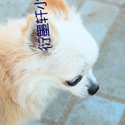 AG真人平台(中国)官方网站