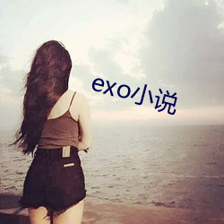 exo小说(說)