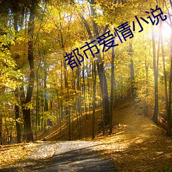 都市爱情小说