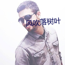 风吹落树叶