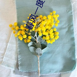 918博天堂·(中国)手机版客户端
