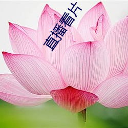 直播看片 （契机）