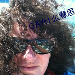 GAY什么意思