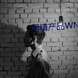 国(國)精产品(品)WNW2544