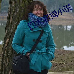 四大名(míng)捕小说