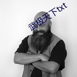 武极天下txt