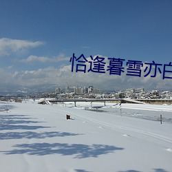 恰逢暮雪亦白头电视剧免费