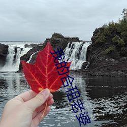 918博天堂·(中国)手机版客户端