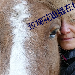 玫瑰花直播在线直播 患难与共）