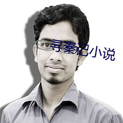 尋秦記小說