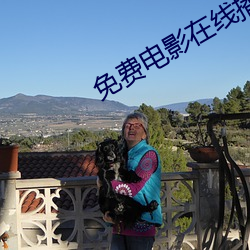 免费电影在线播放(放)