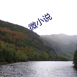 细小(xiǎo)说