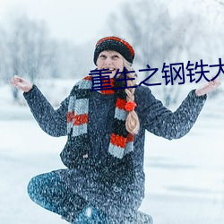 重(zhòng)生之钢铁大亨