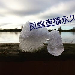 凤蝶(蝶)直播永(永)久回(回)家地点