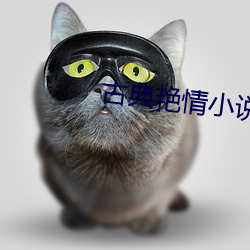 古典豔情小說