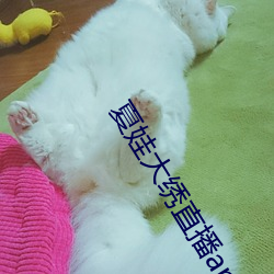 夏娃大繡直播app下載