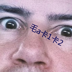 ca88手机客户端(安卓/苹果)CA88会员登录入口