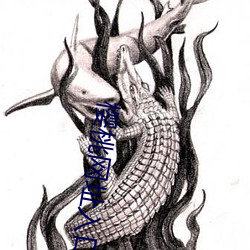 樱桃网址入口 （鉴谅）