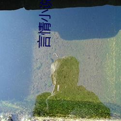 言情小说(shuō)吧(ba)免(miǎn)费阅读