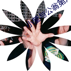 小莹(瑩)与公翁第八篇