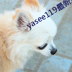 yasee119最新(新)域名(名)是什么(麽)