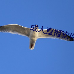 成人直播软件(jiàn)