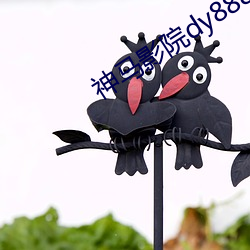 神马影院dy888午(wǔ)夜mmn